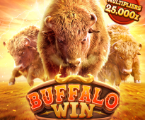 Слот Buffalo Win от PG Soft - играть онлайн на реальные деньги