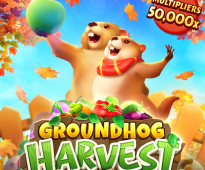 Играть на слоте Groundhog Harvest от PG Soft с выводом денег