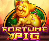 Fortune Pig