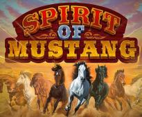 Spirit Of Mustang